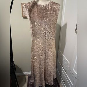 H&M CONSCIOUS EXCLUSIVE Sequined Dress